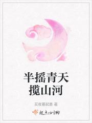 半摇青天揽山河