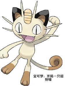 宝可梦:开局一只招财喵