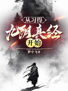 开局拜师黄裳,苦修九阴真经