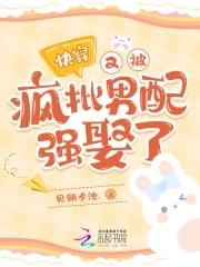 快穿：又被疯批男配强娶了