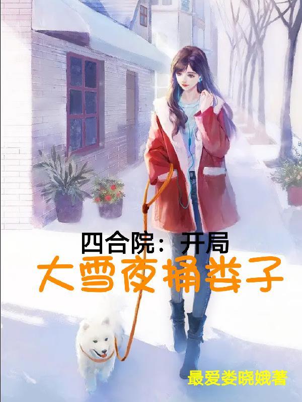 四合院:开局大雪夜捅娄子