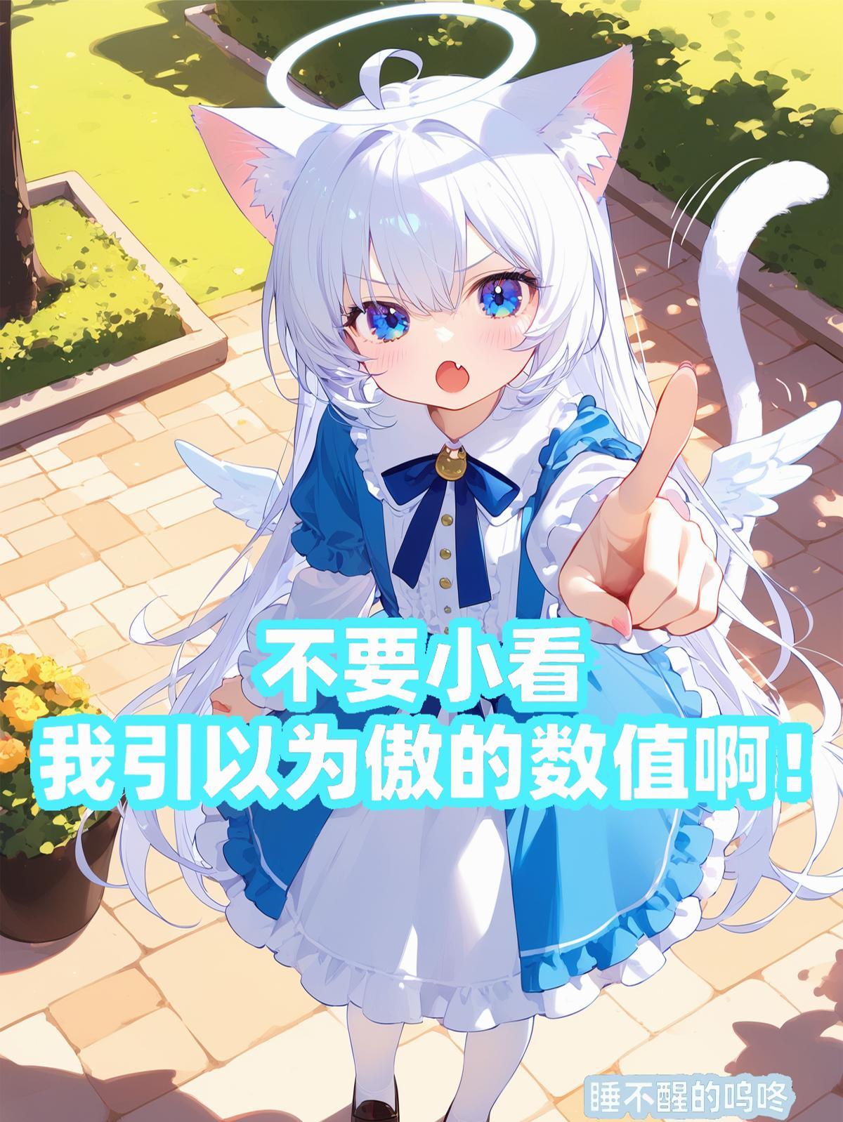 不要小看我引以为傲的数值啊!