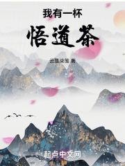 我有一杯悟道茶